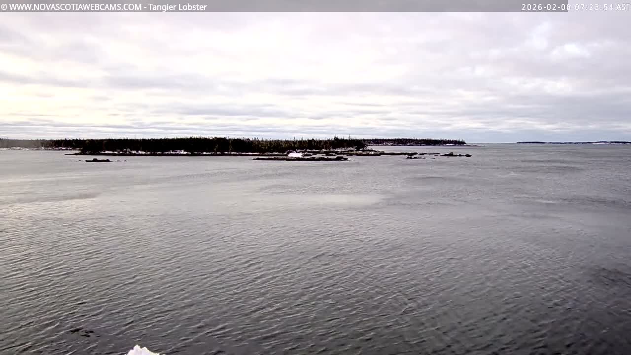 Tangier Coast, Hog Island  & Mason Cove Live Cam - Tangier, Halifax Regional Municipality, Nova Scotia, Canada