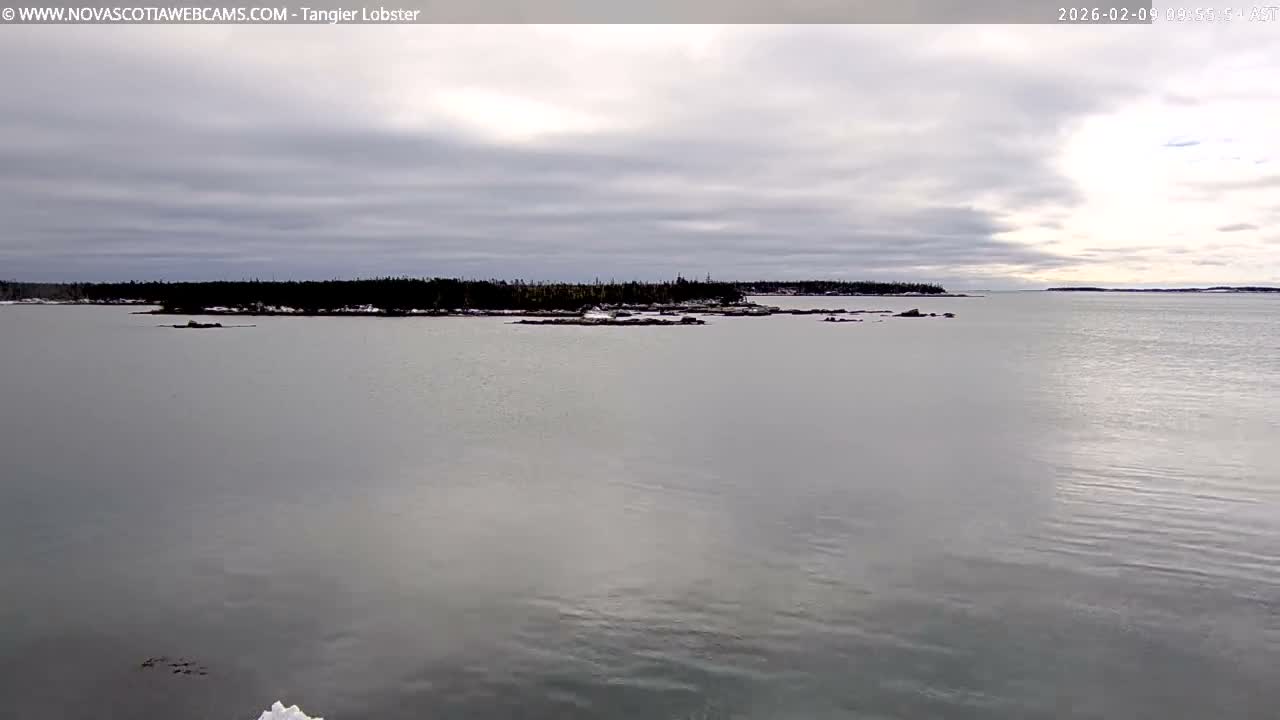 Tangier Coast, Hog Island  & Mason Cove Live Cam - Tangier, Halifax Regional Municipality, Nova Scotia, Canada