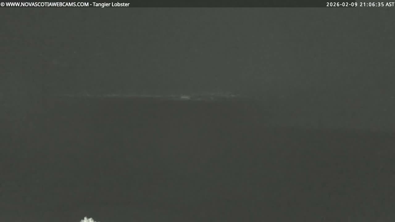 Tangier Coast, Hog Island  & Mason Cove Live Cam - Tangier, Halifax Regional Municipality, Nova Scotia, Canada