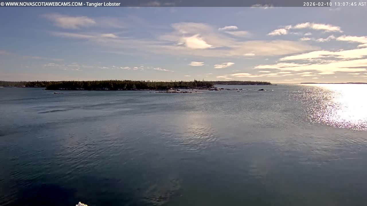 Tangier Coast, Hog Island  & Mason Cove Live Cam - Tangier, Halifax Regional Municipality, Nova Scotia, Canada