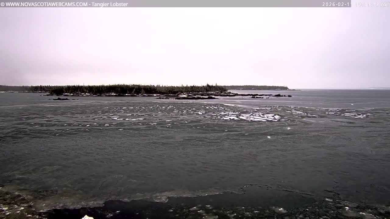 Tangier Coast, Hog Island  & Mason Cove Live Cam - Tangier, Halifax Regional Municipality, Nova Scotia, Canada