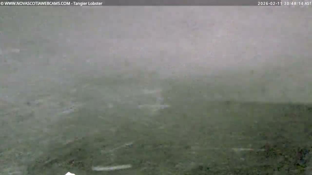 Tangier Coast, Hog Island  & Mason Cove Live Cam - Tangier, Halifax Regional Municipality, Nova Scotia, Canada