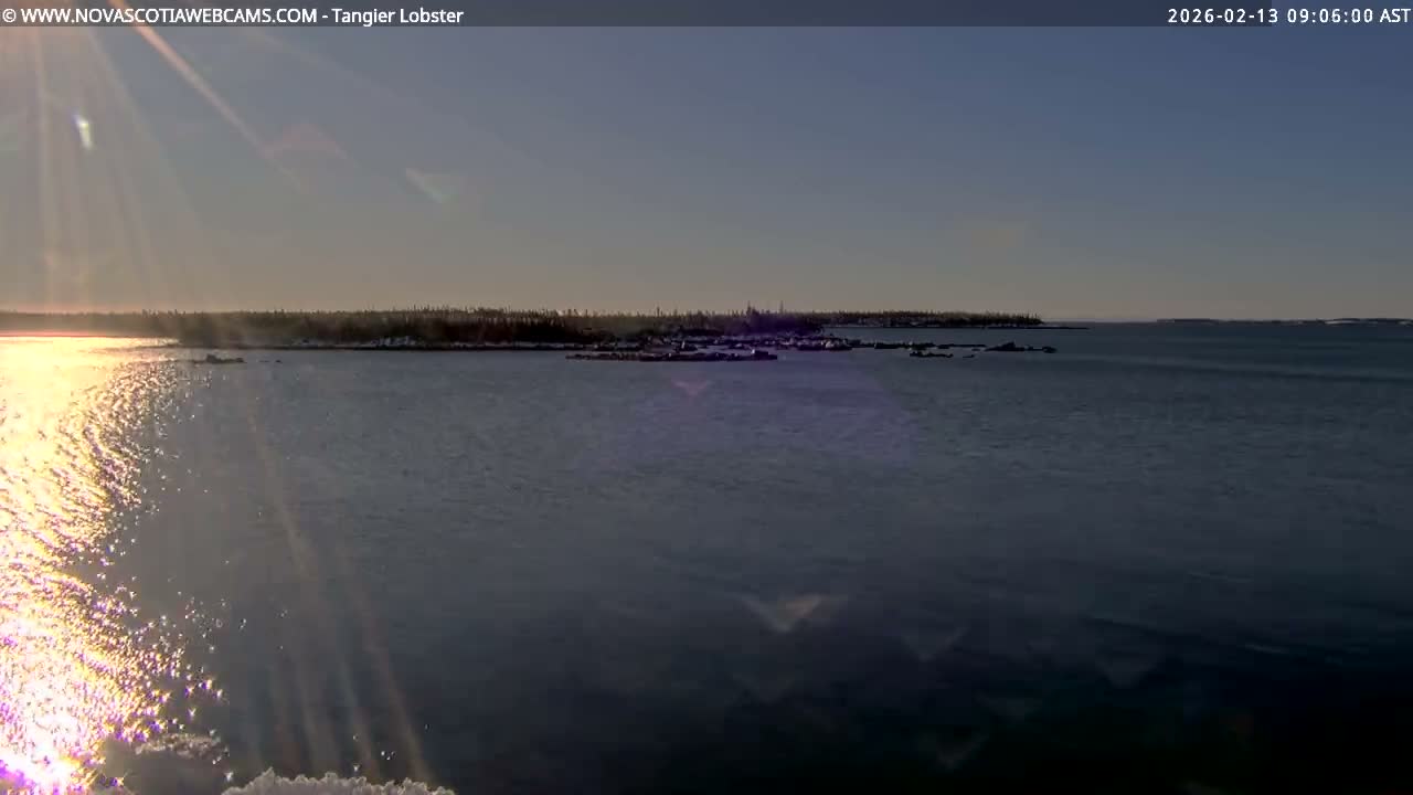 Tangier Coast, Hog Island  & Mason Cove Live Cam - Tangier, Halifax Regional Municipality, Nova Scotia, Canada