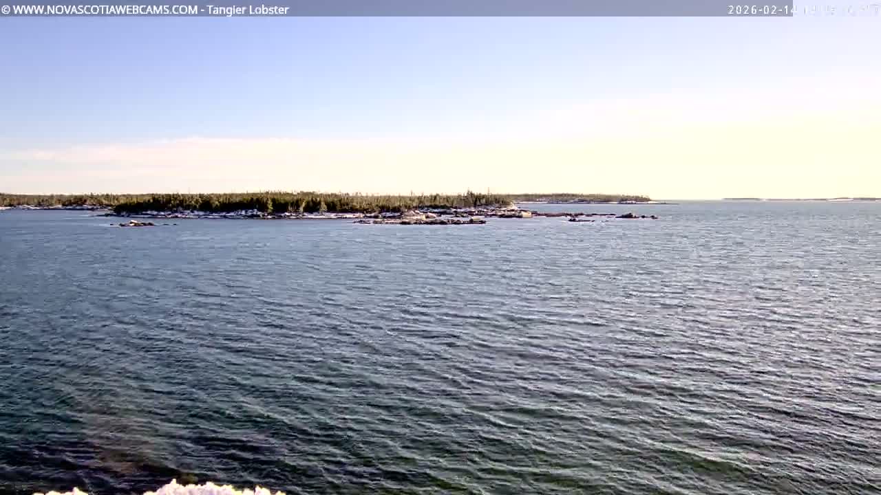 Tangier Coast, Hog Island  & Mason Cove Live Cam - Tangier, Halifax Regional Municipality, Nova Scotia, Canada