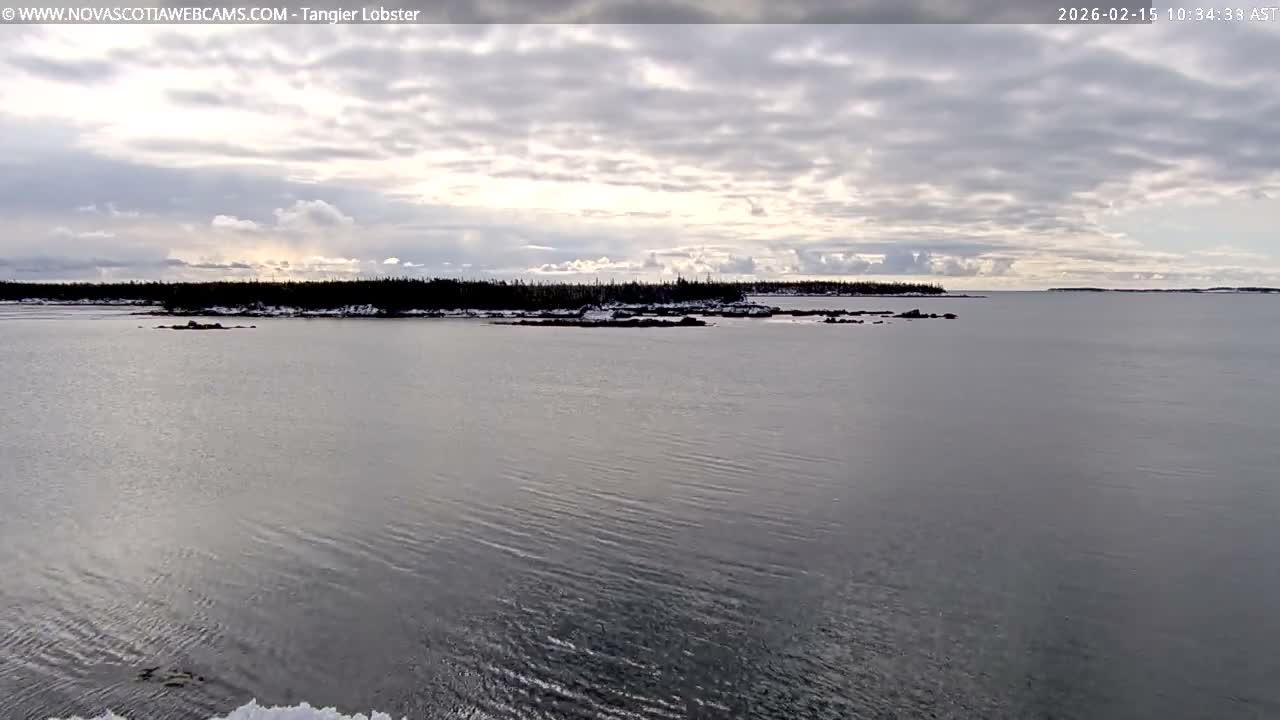 Tangier Coast, Hog Island  & Mason Cove Live Cam - Tangier, Halifax Regional Municipality, Nova Scotia, Canada