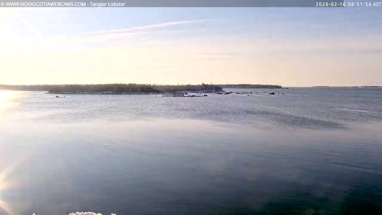 Tangier Coast, Hog Island  & Mason Cove Live Cam - Tangier, Halifax Regional Municipality, Nova Scotia, Canada