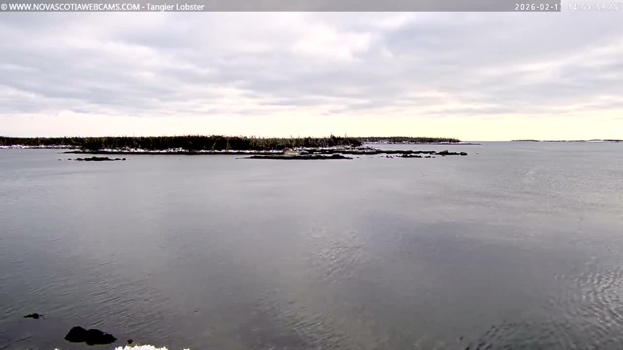 Tangier Coast, Hog Island  & Mason Cove Live Cam - Tangier, Halifax Regional Municipality, Nova Scotia, Canada