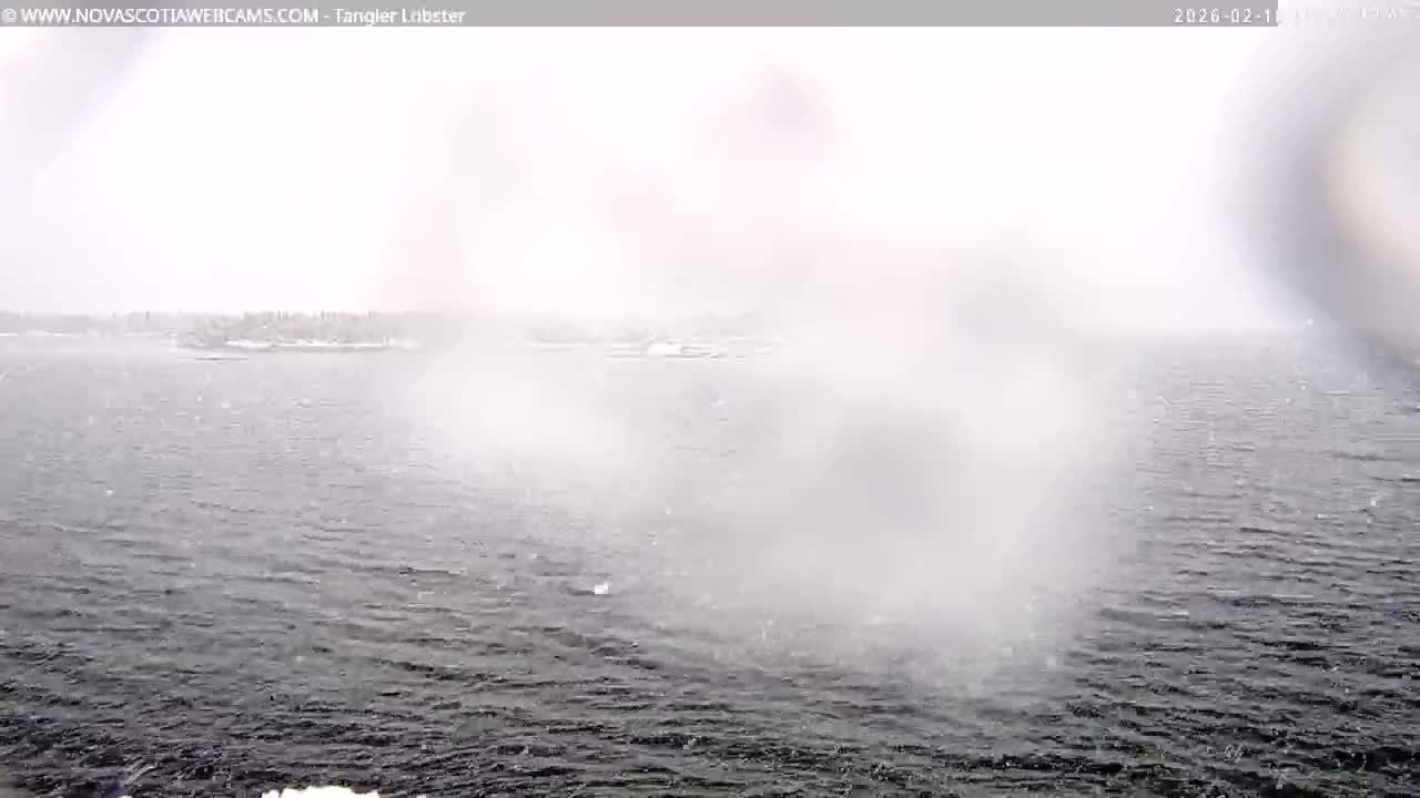 Tangier Coast, Hog Island  & Mason Cove Live Cam - Tangier, Halifax Regional Municipality, Nova Scotia, Canada