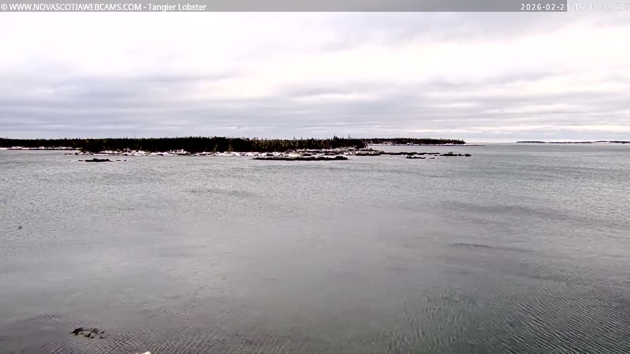 Tangier Coast, Hog Island  & Mason Cove Live Cam - Tangier, Halifax Regional Municipality, Nova Scotia, Canada