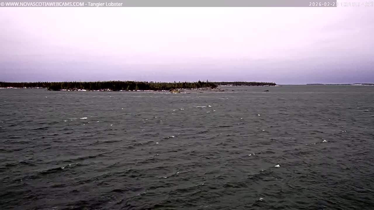 Tangier Coast, Hog Island  & Mason Cove Live Cam - Tangier, Halifax Regional Municipality, Nova Scotia, Canada