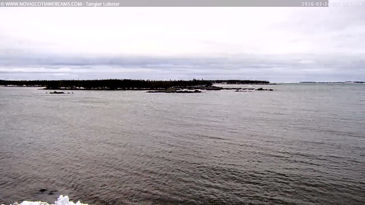Tangier Coast, Hog Island  & Mason Cove Live Cam - Tangier, Halifax Regional Municipality, Nova Scotia, Canada
