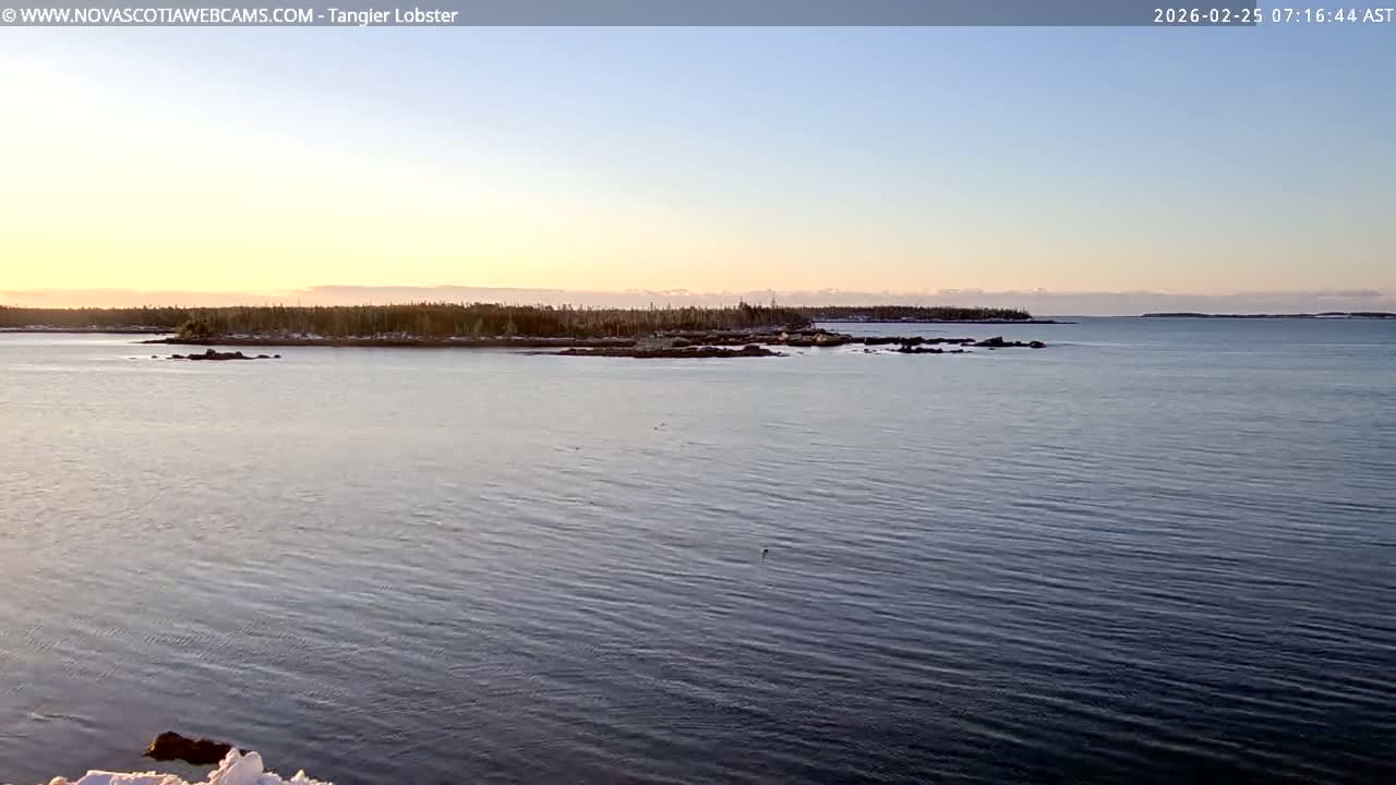 Tangier Coast, Hog Island  & Mason Cove Live Cam - Tangier, Halifax Regional Municipality, Nova Scotia, Canada