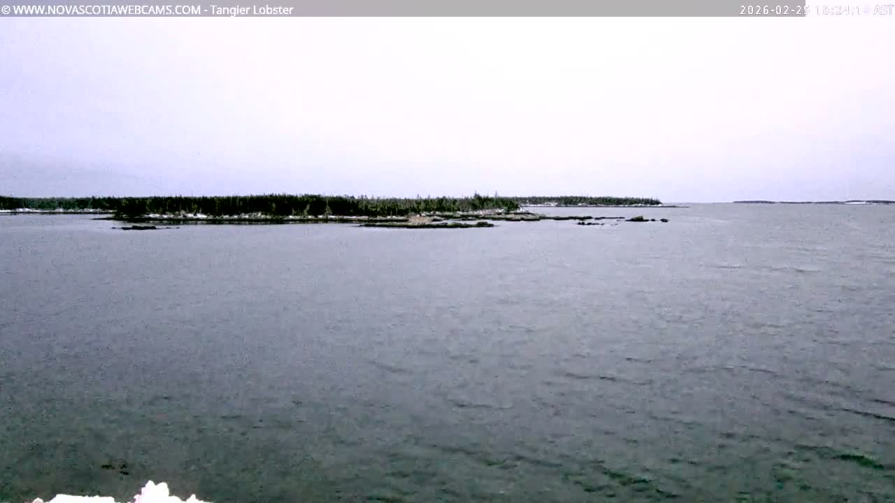 Tangier Coast, Hog Island  & Mason Cove Live Cam - Tangier, Halifax Regional Municipality, Nova Scotia, Canada