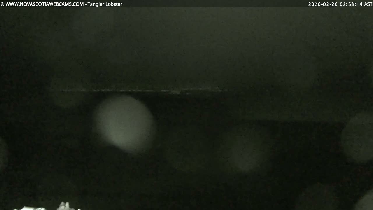 Tangier Coast, Hog Island  & Mason Cove Live Cam - Tangier, Halifax Regional Municipality, Nova Scotia, Canada