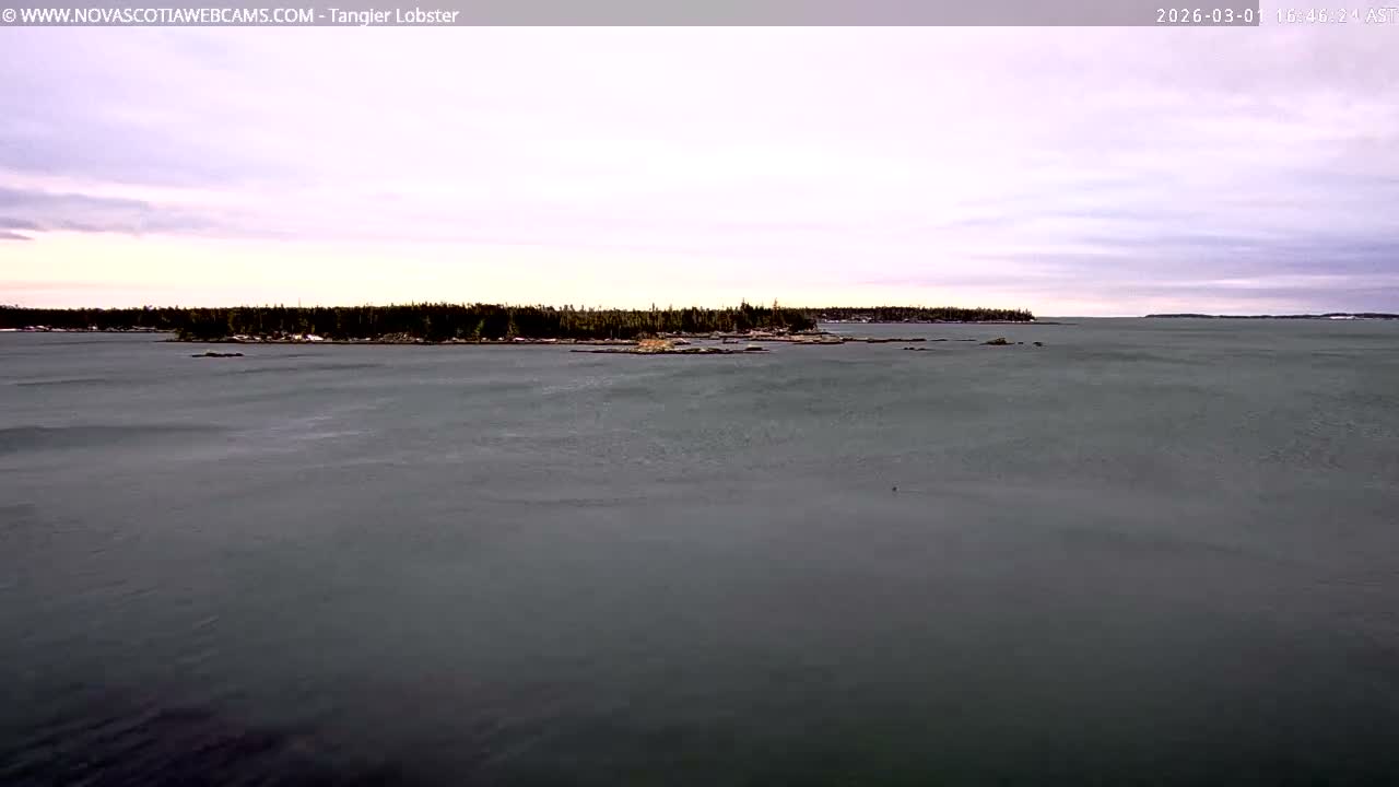 Tangier Coast, Hog Island  & Mason Cove Live Cam - Tangier, Halifax Regional Municipality, Nova Scotia, Canada