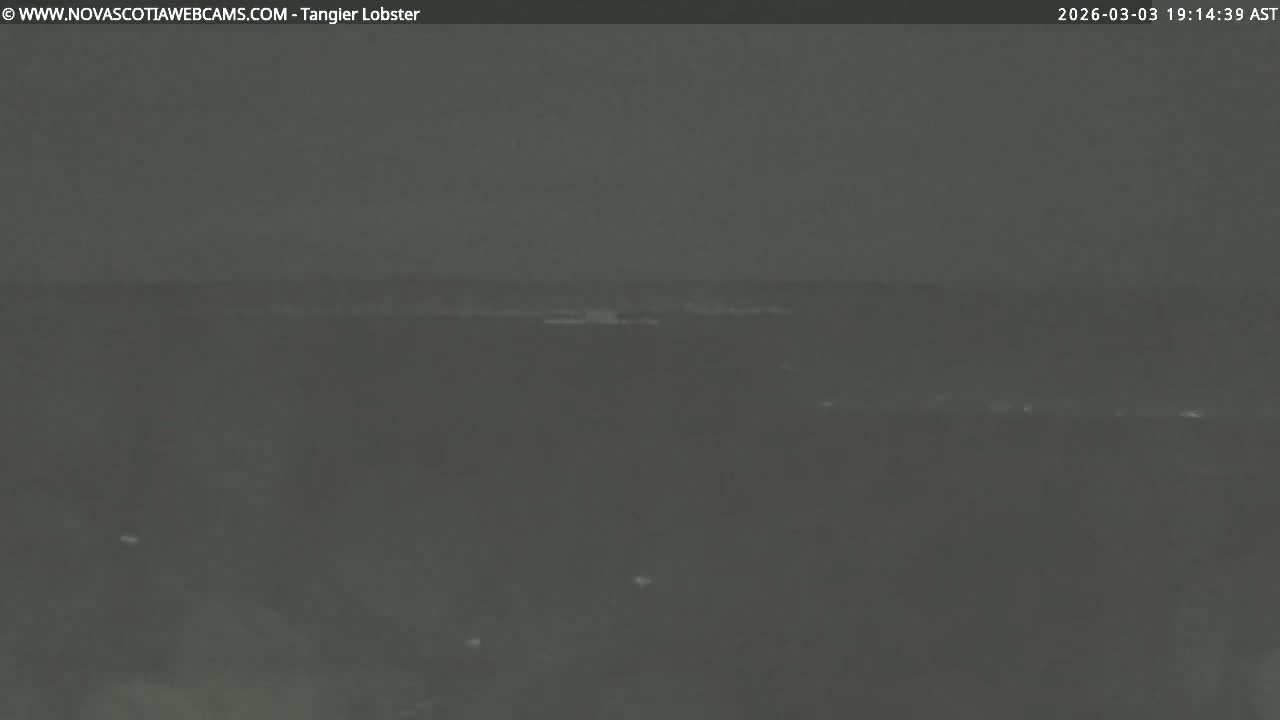 Tangier Coast, Hog Island  & Mason Cove Live Cam - Tangier, Halifax Regional Municipality, Nova Scotia, Canada