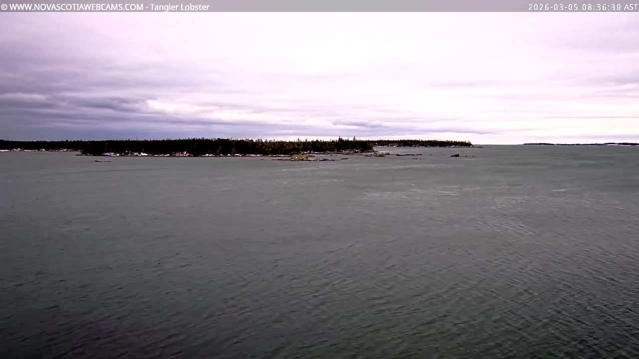 Tangier Coast, Hog Island  & Mason Cove Live Cam - Tangier, Halifax Regional Municipality, Nova Scotia, Canada