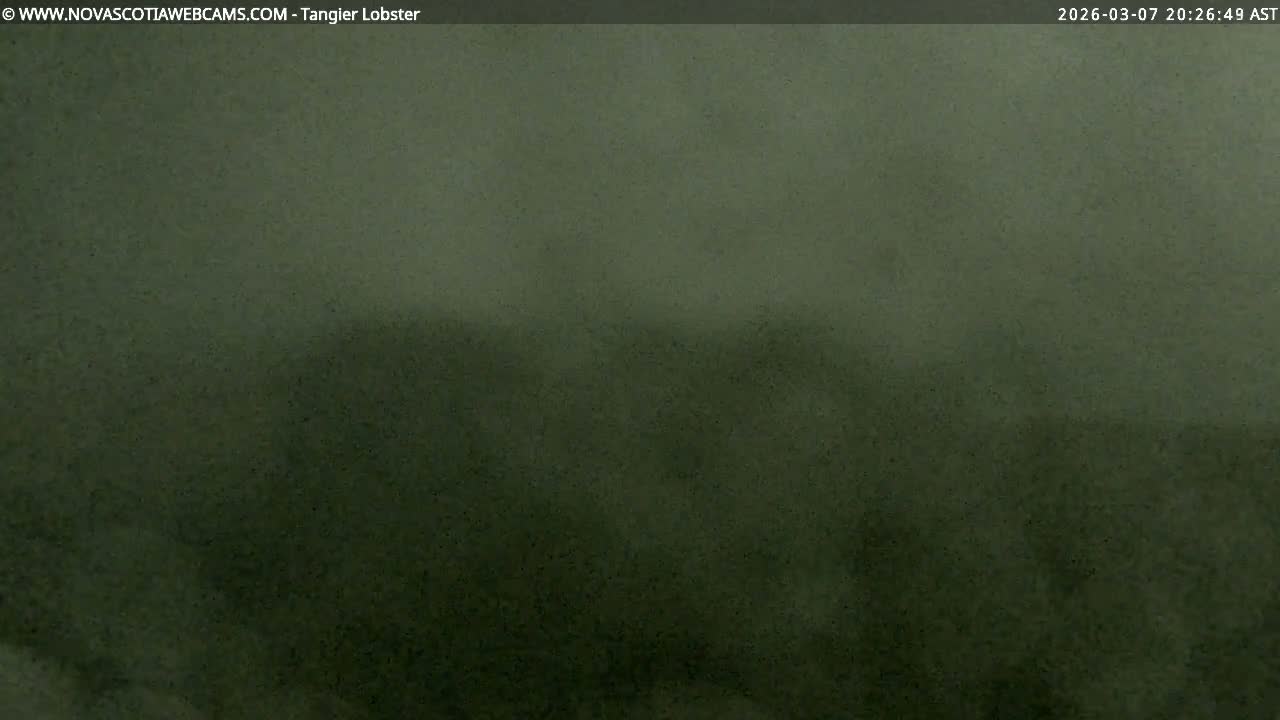 Tangier Coast, Hog Island  & Mason Cove Live Cam - Tangier, Halifax Regional Municipality, Nova Scotia, Canada
