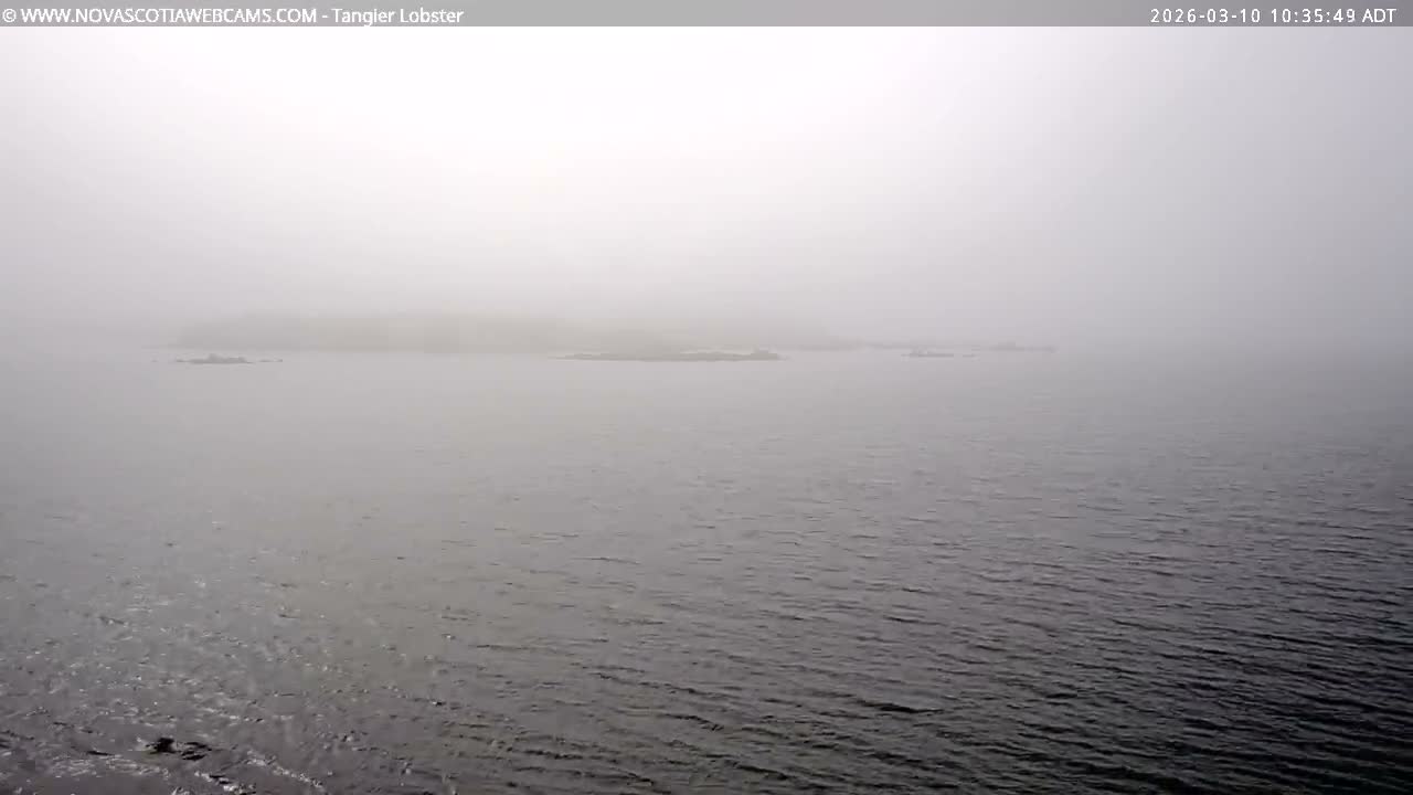 Tangier Coast, Hog Island  & Mason Cove Live Cam - Tangier, Halifax Regional Municipality, Nova Scotia, Canada