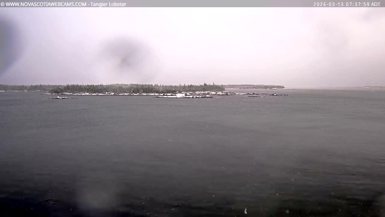 Tangier Coast, Hog Island  & Mason Cove Live Cam - Tangier, Halifax Regional Municipality, Nova Scotia, Canada