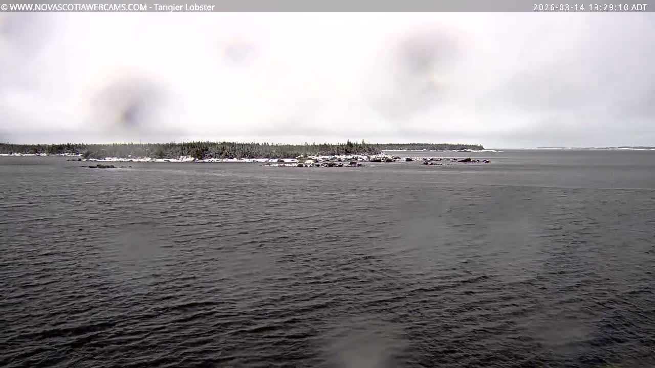 Tangier Coast, Hog Island  & Mason Cove Live Cam - Tangier, Halifax Regional Municipality, Nova Scotia, Canada