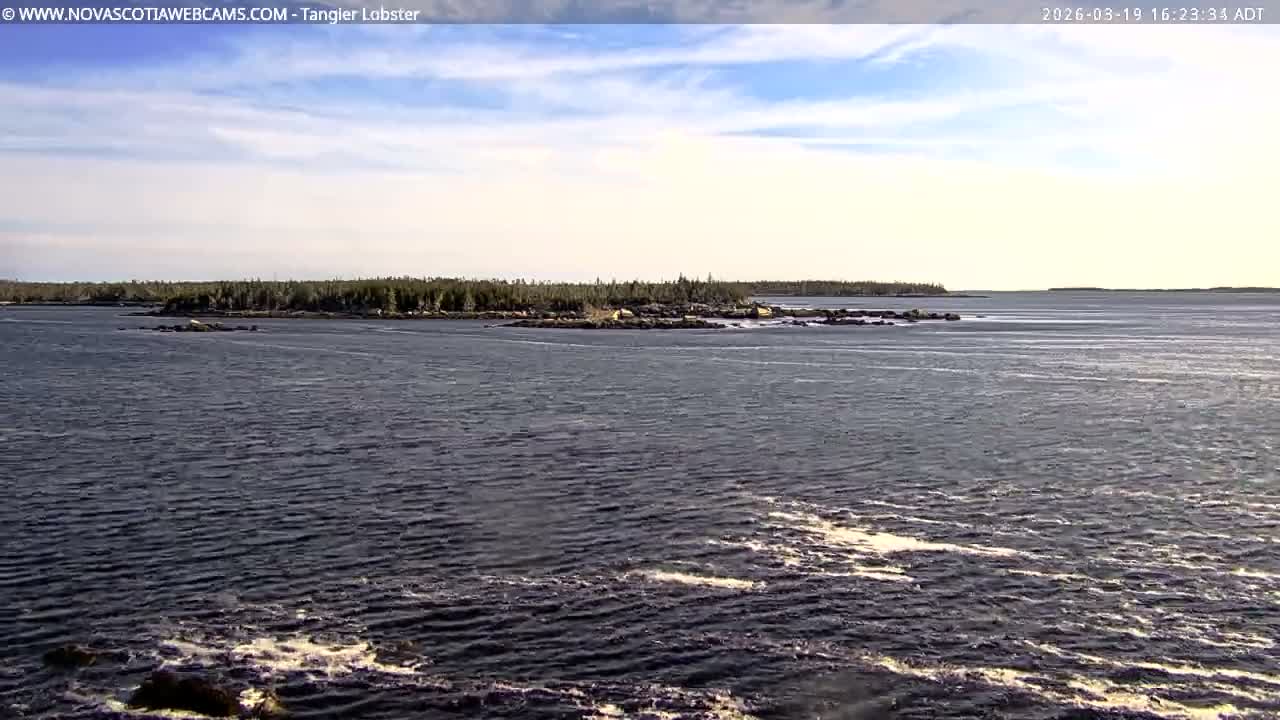 Tangier Coast, Hog Island  & Mason Cove Live Cam - Tangier, Halifax Regional Municipality, Nova Scotia, Canada