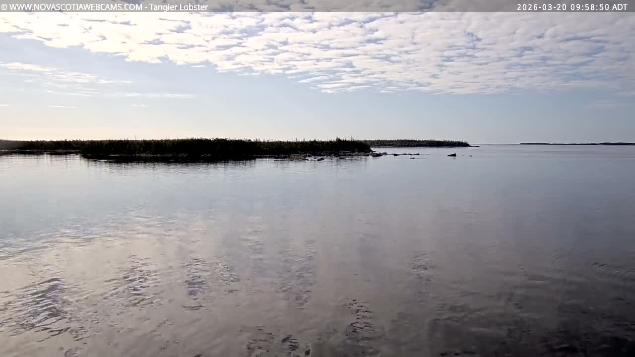 Tangier Coast, Hog Island  & Mason Cove Live Cam - Tangier, Halifax Regional Municipality, Nova Scotia, Canada