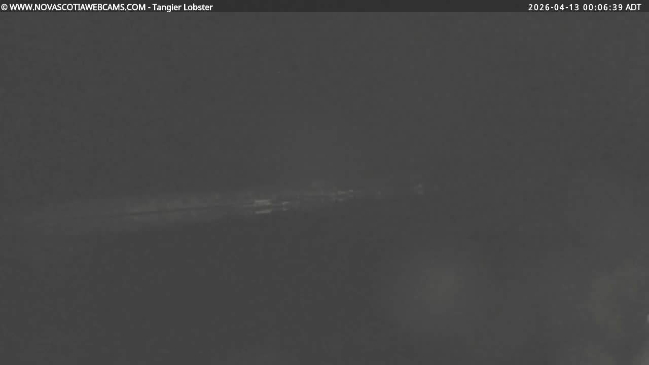 A dark, heavily overcast sky hangs over a choppy body of water with very low visibility during late night or early morning.