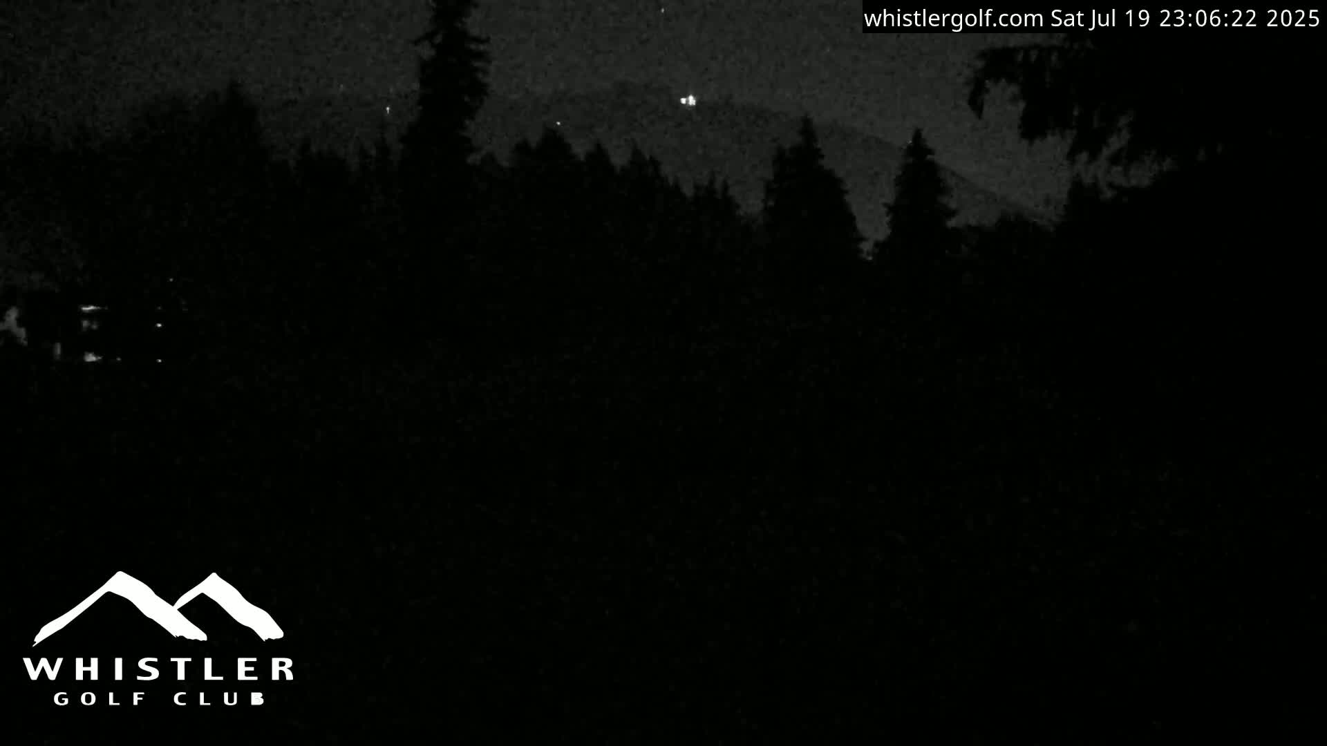 A nighttime view shows a dark forest silhouetted against a dark sky.