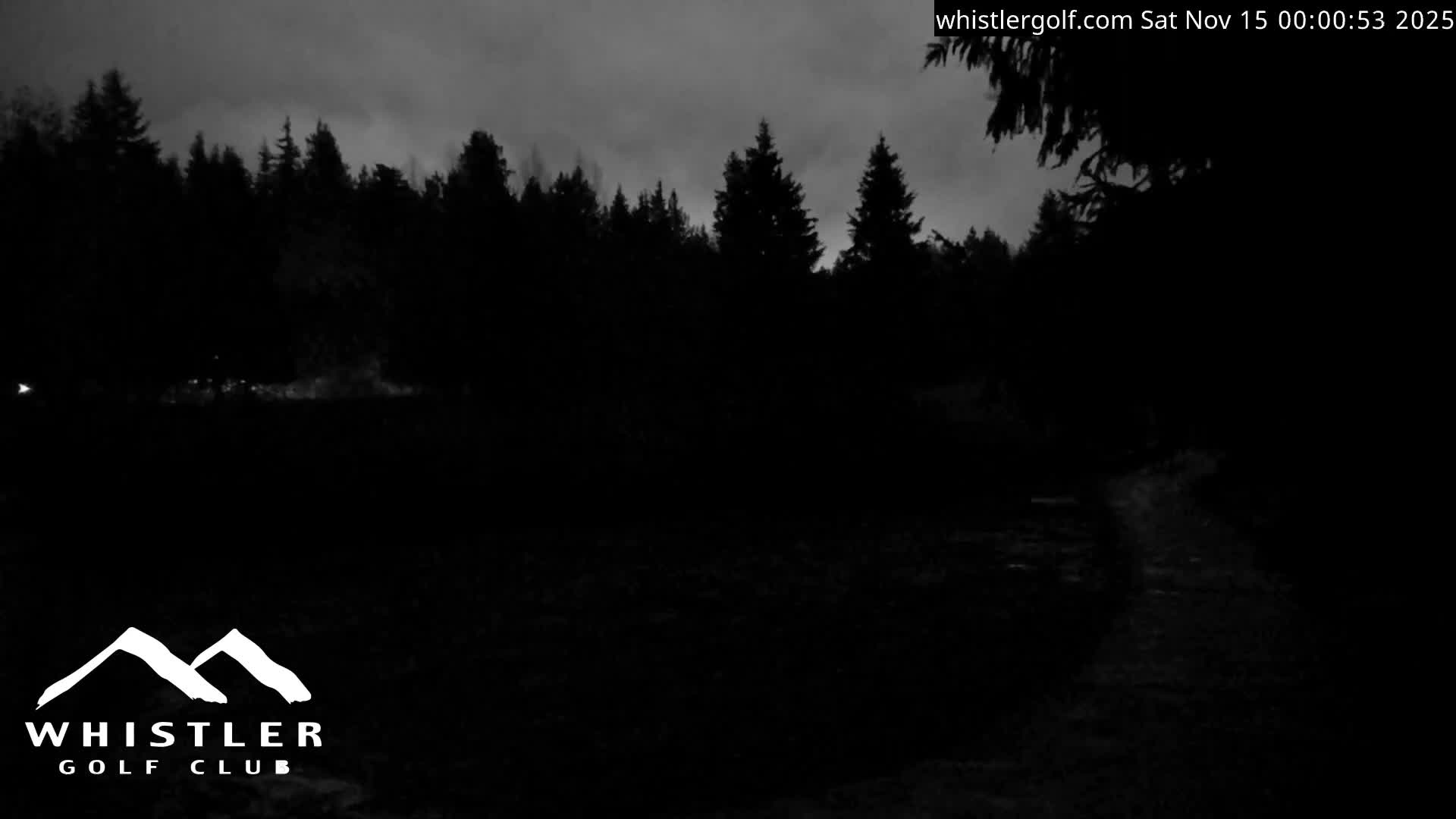 It is an extremely dark, overcast night scene of a forest or treeline silhouetted against a cloudy sky, with barely discernible ground details and a few distant light sources.