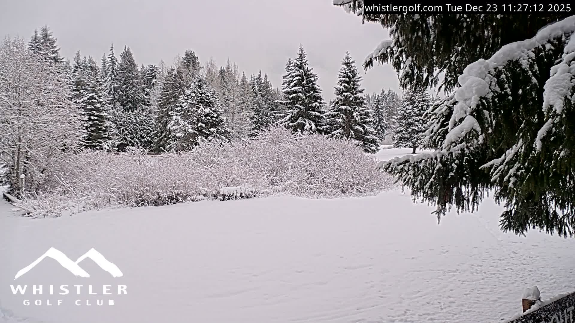 Whistler Golf Club 9th Hole Area Live Cam - Whistler,  Squamish-Lillooet, Sea to Sky Country, British Columbia, Canada