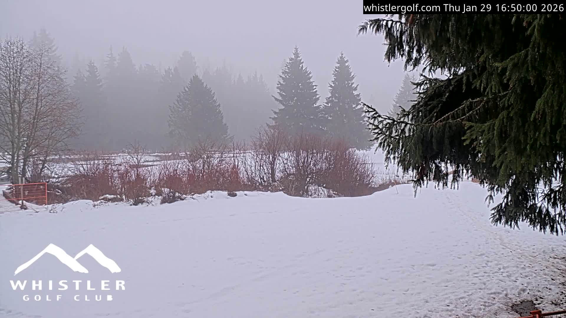 Whistler Golf Club 9th Hole Area Live Cam - Whistler,  Squamish-Lillooet, Sea to Sky Country, British Columbia, Canada