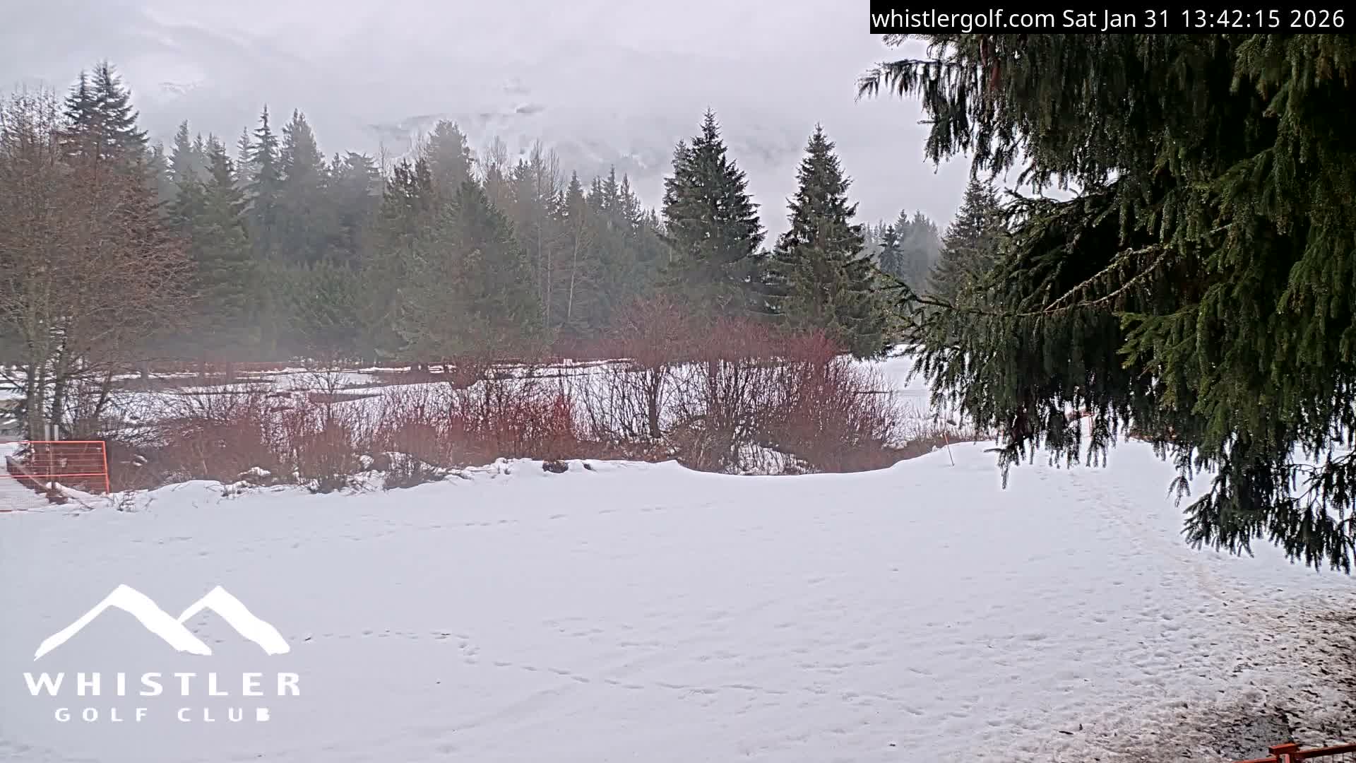 Whistler Golf Club 9th Hole Area Live Cam - Whistler,  Squamish-Lillooet, Sea to Sky Country, British Columbia, Canada