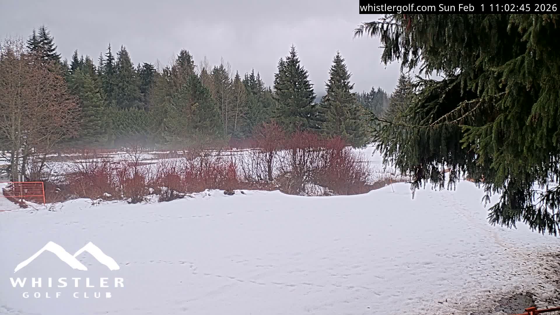 Whistler Golf Club 9th Hole Area Live Cam - Whistler,  Squamish-Lillooet, Sea to Sky Country, British Columbia, Canada