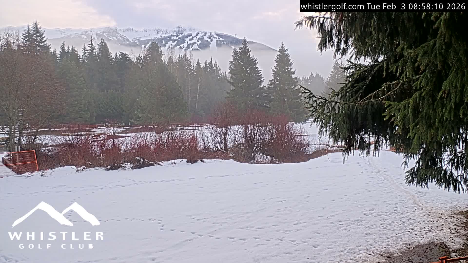 Whistler Golf Club 9th Hole Area Live Cam - Whistler,  Squamish-Lillooet, Sea to Sky Country, British Columbia, Canada