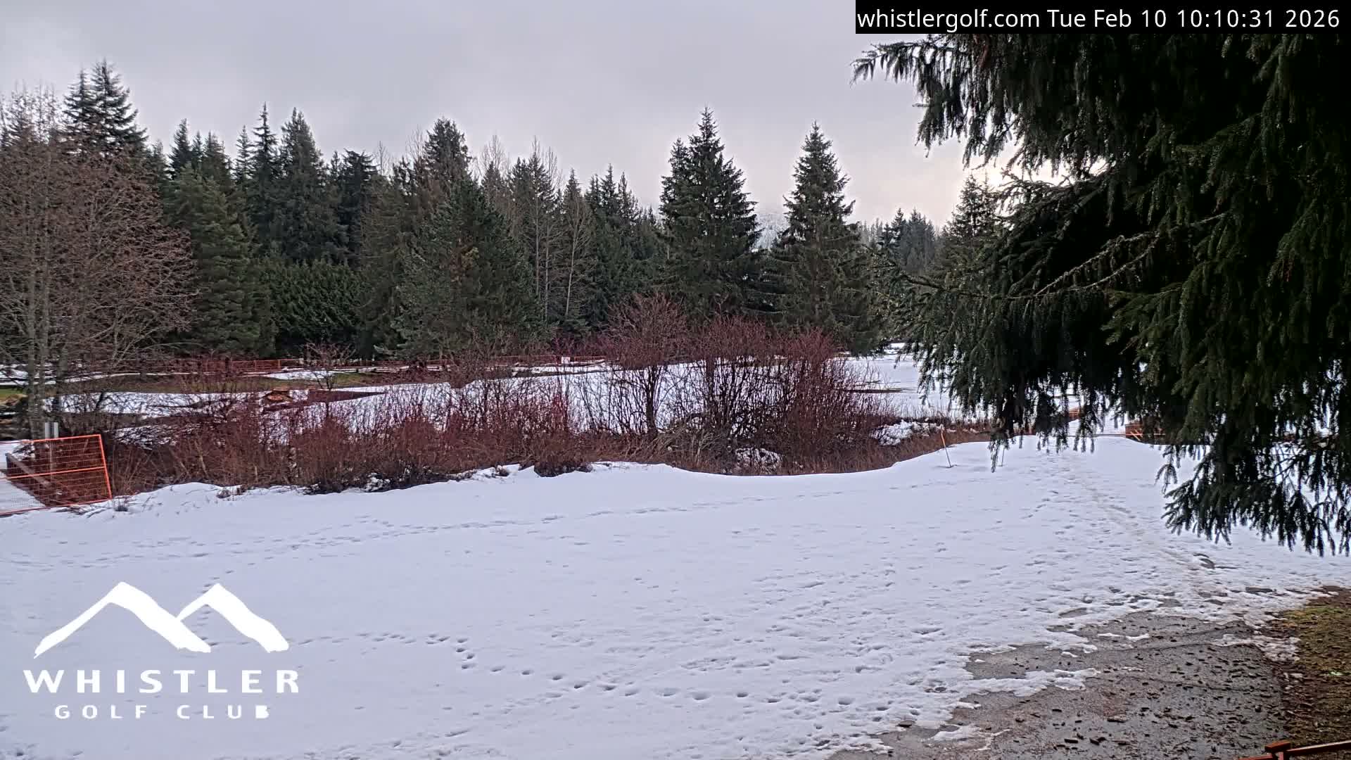 Whistler Golf Club 9th Hole Area Live Cam - Whistler,  Squamish-Lillooet, Sea to Sky Country, British Columbia, Canada