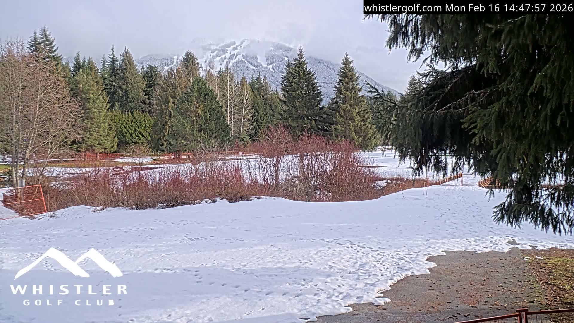 Whistler Golf Club 9th Hole Area Live Cam - Whistler,  Squamish-Lillooet, Sea to Sky Country, British Columbia, Canada