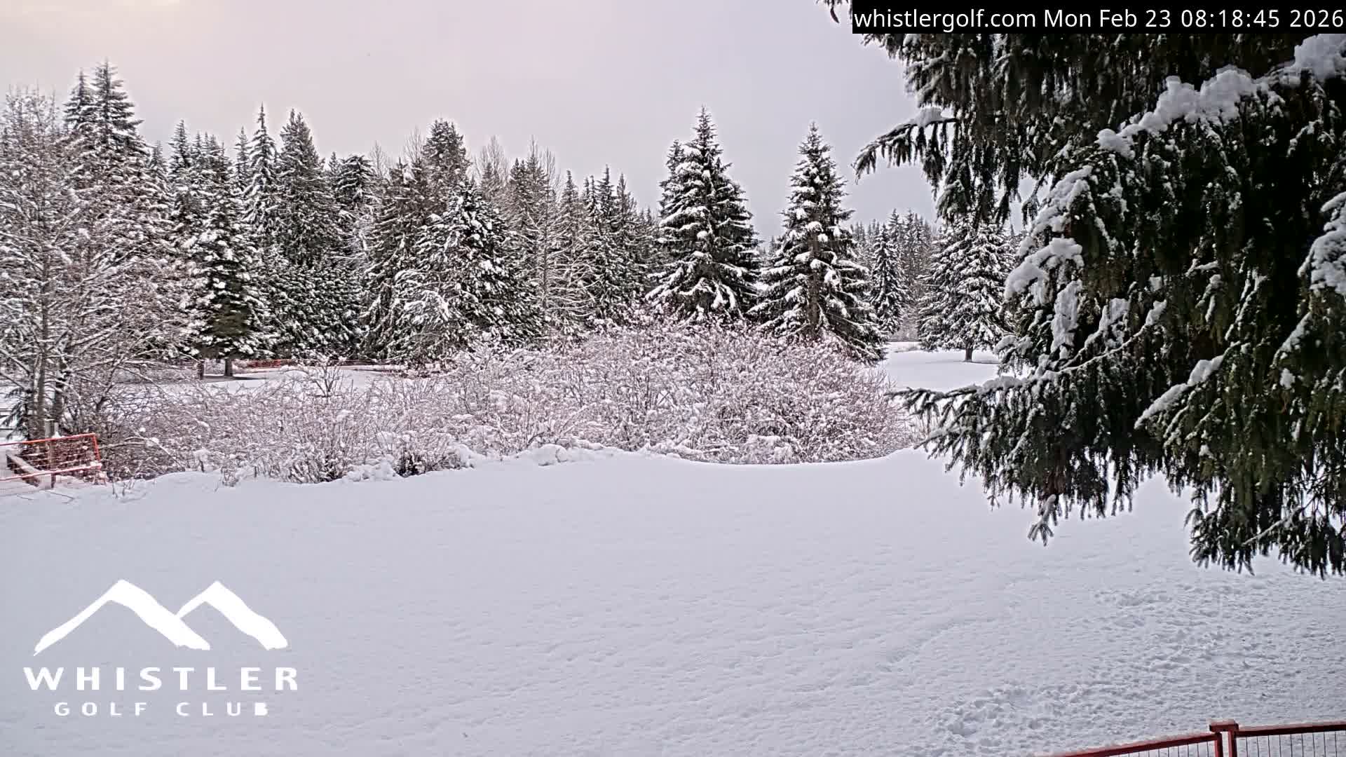 Whistler Golf Club 9th Hole Area Live Cam - Whistler,  Squamish-Lillooet, Sea to Sky Country, British Columbia, Canada