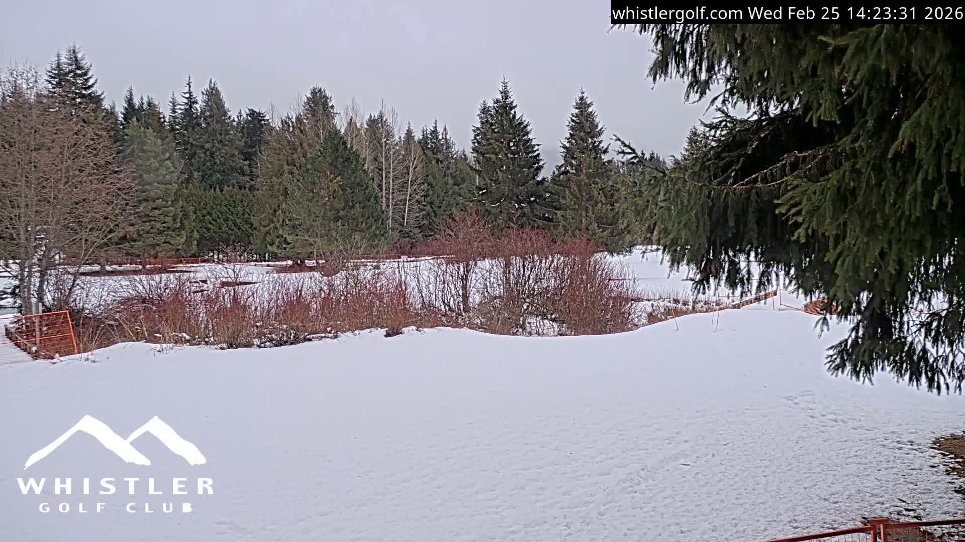 Whistler Golf Club 9th Hole Area Live Cam - Whistler,  Squamish-Lillooet, Sea to Sky Country, British Columbia, Canada