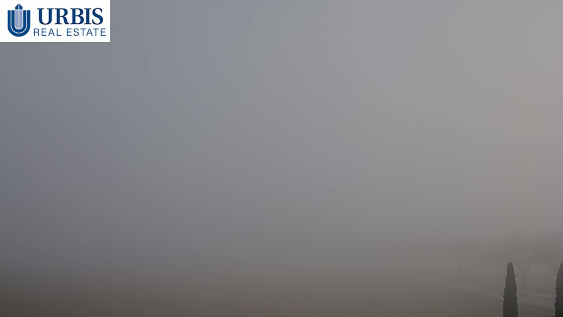 A very foggy landscape is visible with a few dark, indistinct trees in the bottom right corner.