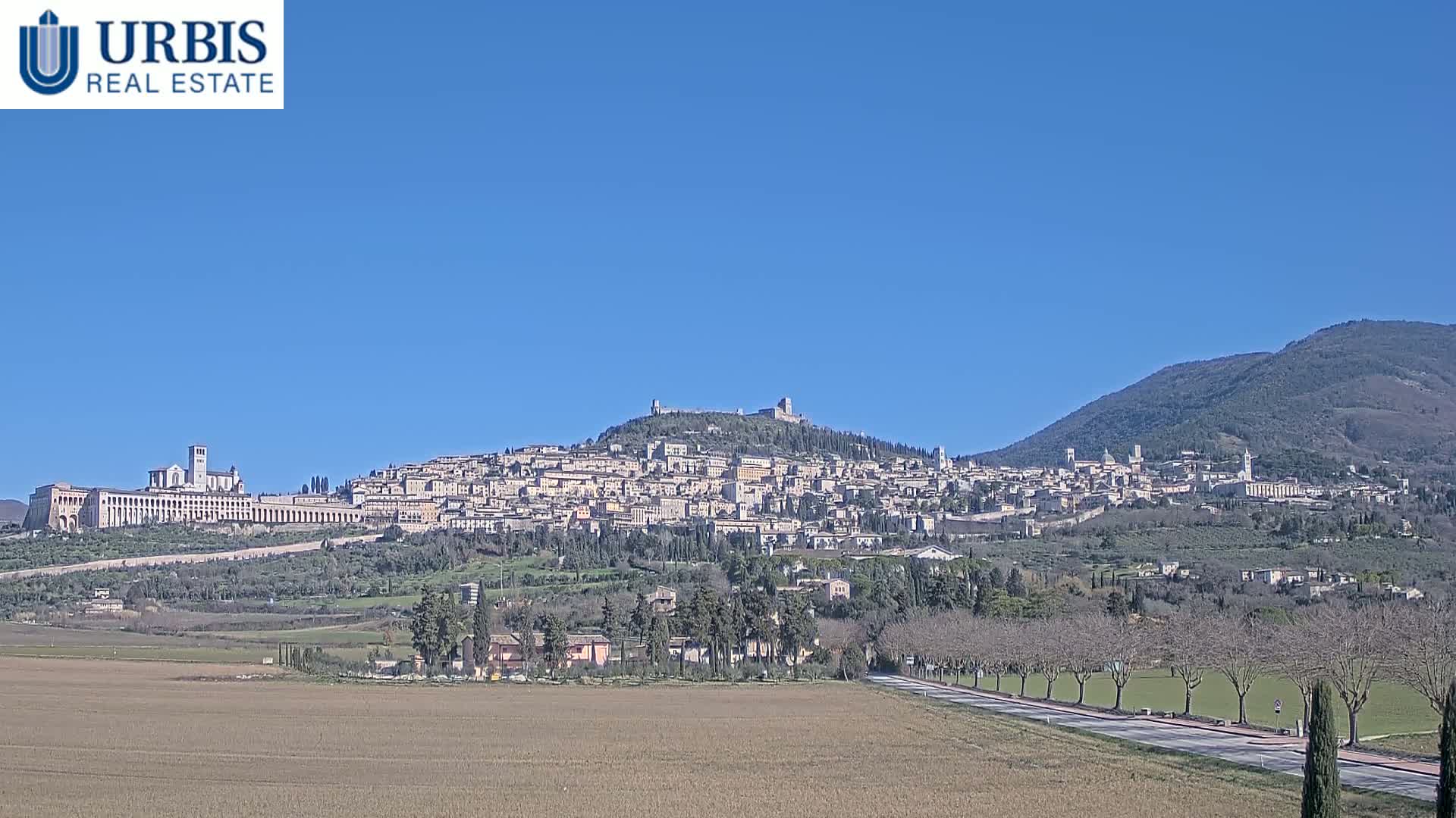 A hilltop town, including a large basilica, stretches across a hillside under a clear blue sky, with a mountain visible in the background and flat, brown farmland in the foreground.
