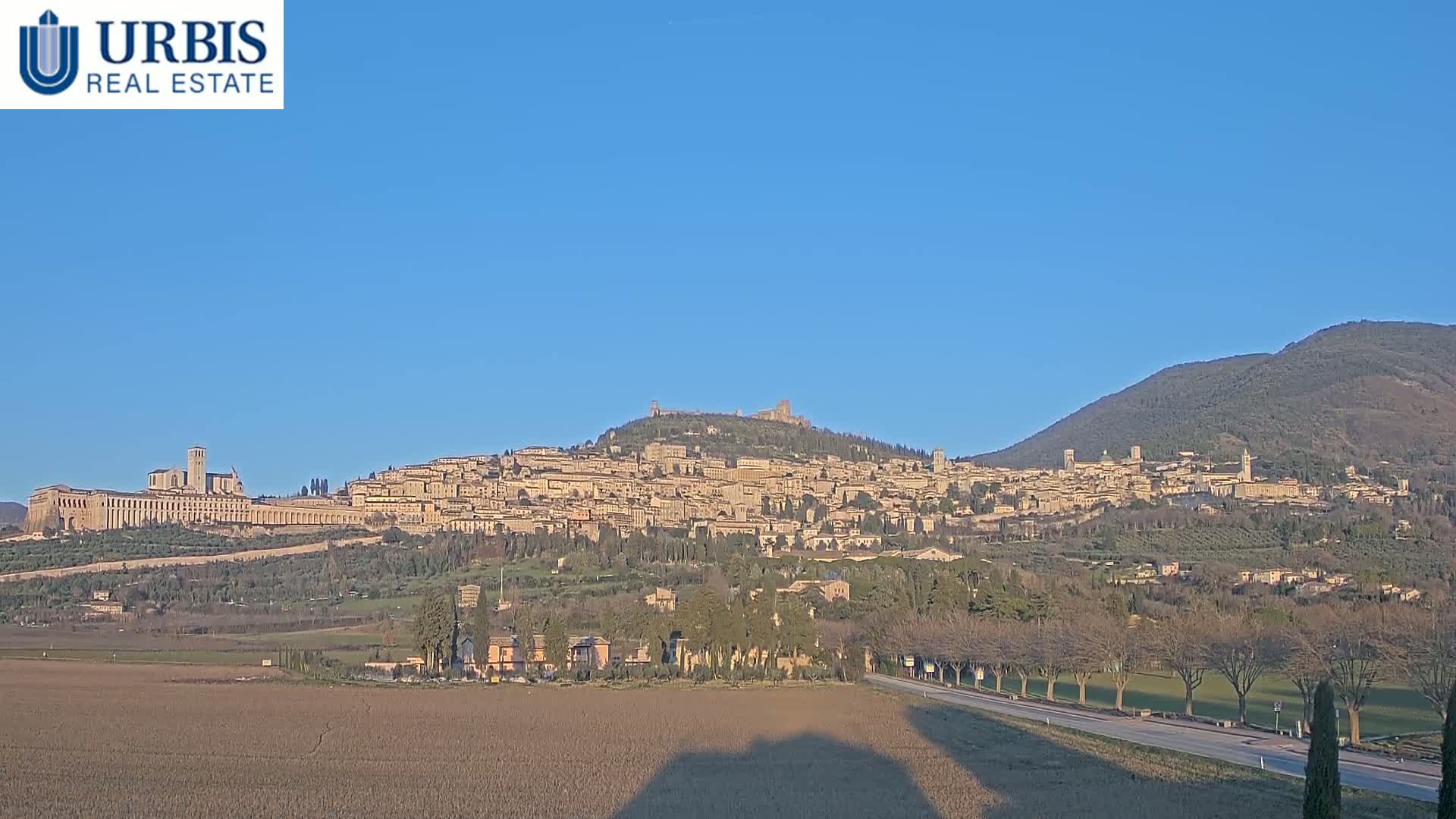 A large town, nestled on a hill, is viewed from a distance on a clear, sunny day, with bare trees in the foreground and a mountain in the background.