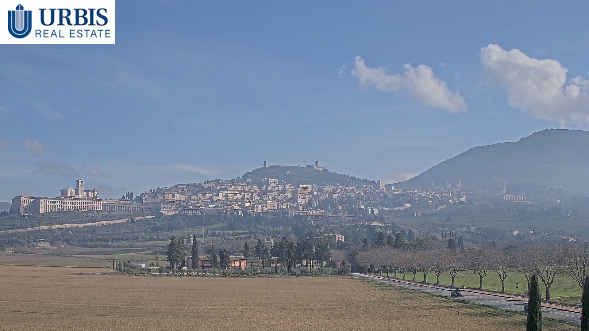 A distant view of a hilltop town, under a mostly clear sky with a few clouds, shows a large building complex at the base of the hill and a road lined with bare trees in the foreground.