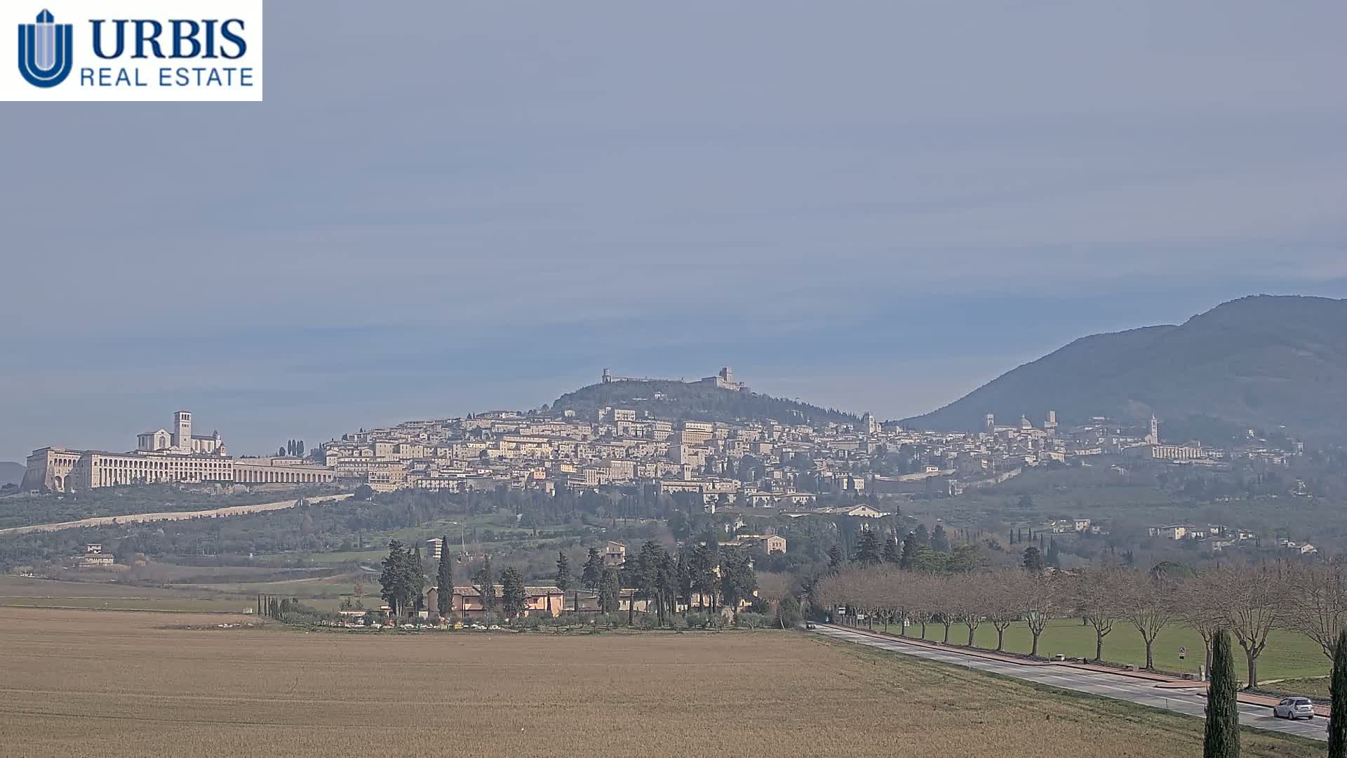 A distant view of Assisi, Italy, nestled on a hill, under a hazy, clear sky, with a flat, brown field in the foreground and a road lined with leafless trees.