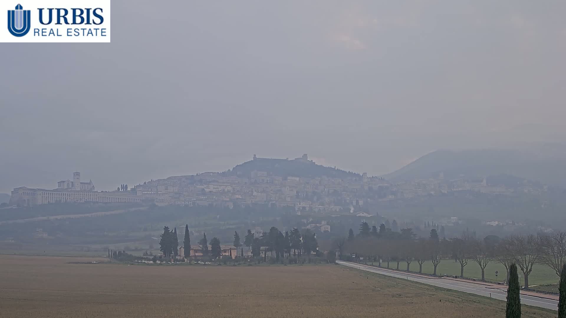 A hazy view of a town nestled on a hill, with a large building complex at its base, stretches into the distance across a flat field with a road and rows of trees.