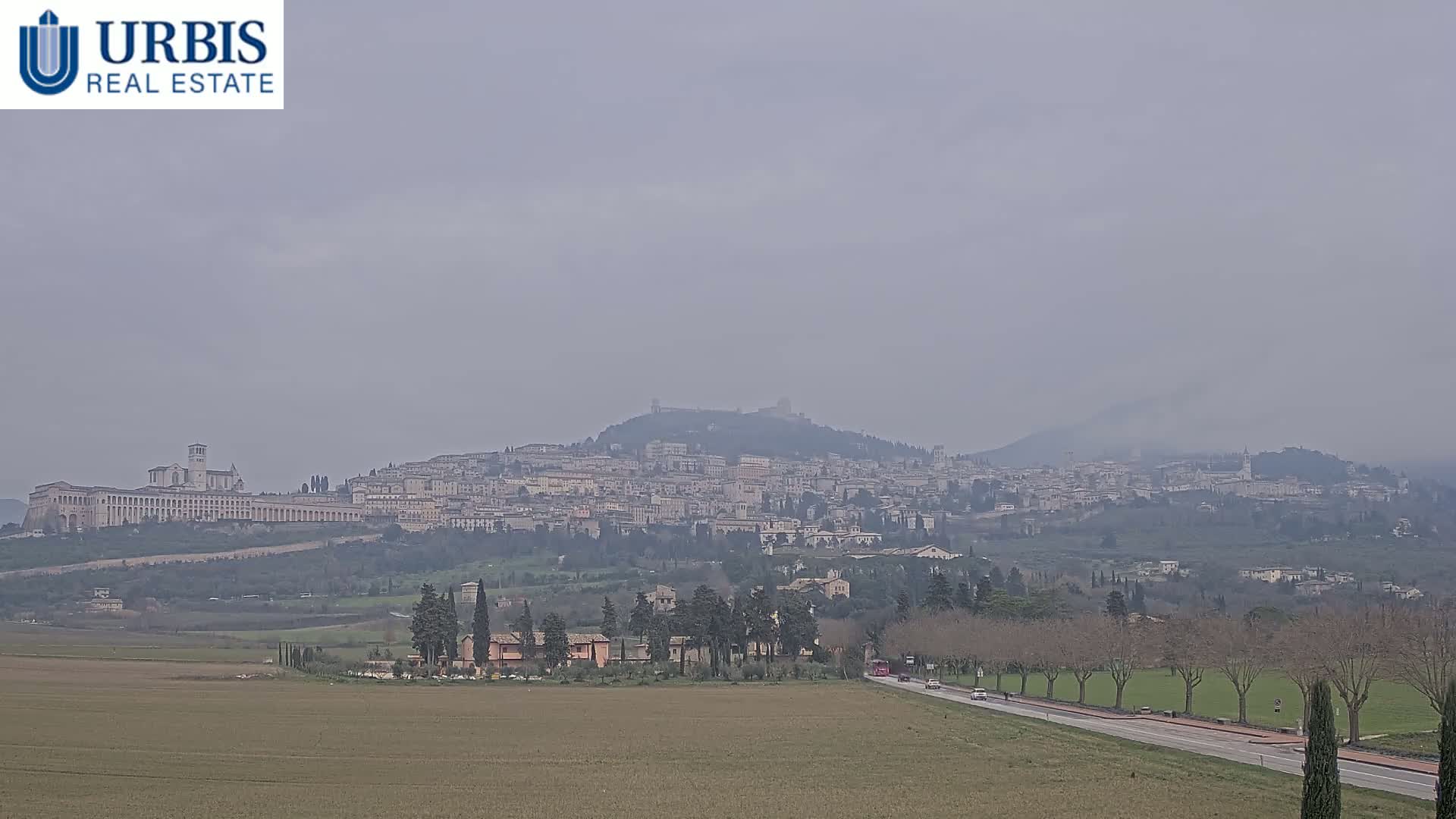 A hazy view of Assisi, Italy, shows a large city built on a hill, with a long basilica stretching across the top, seen from a distance across a flat field and a road.
