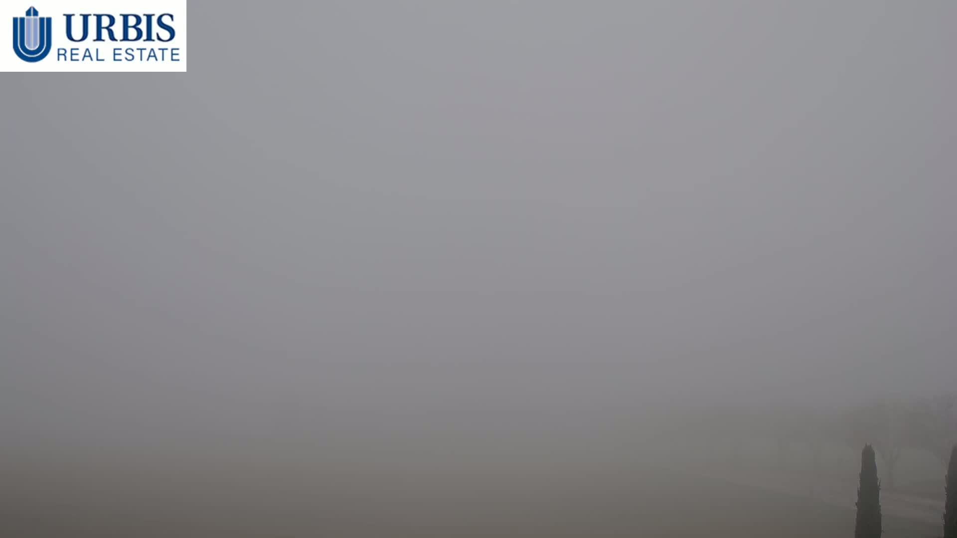 A foggy, outdoor scene shows a few indistinct, dark shapes of vegetation in the bottom right corner.