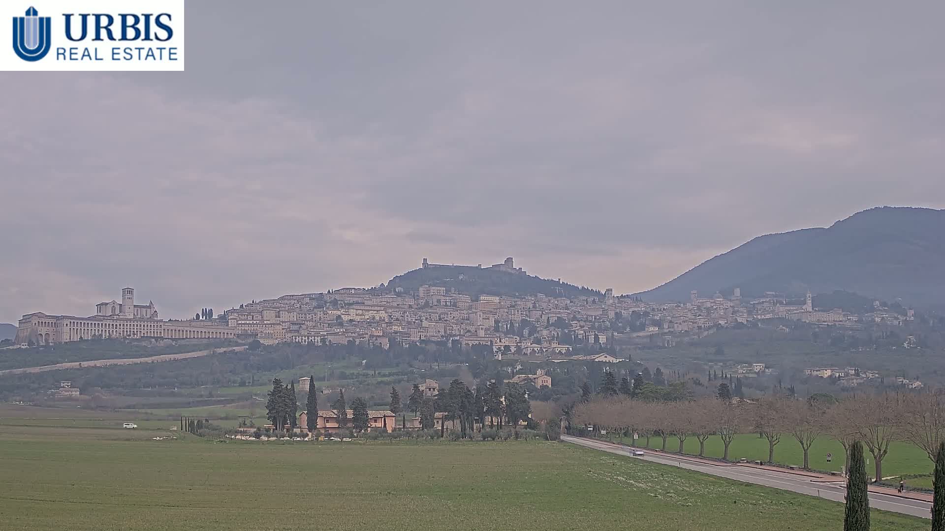 A hilltop town, dominated by a large basilica, is visible in the distance under an overcast sky, with a flat expanse of farmland and a tree-lined road in the foreground.
