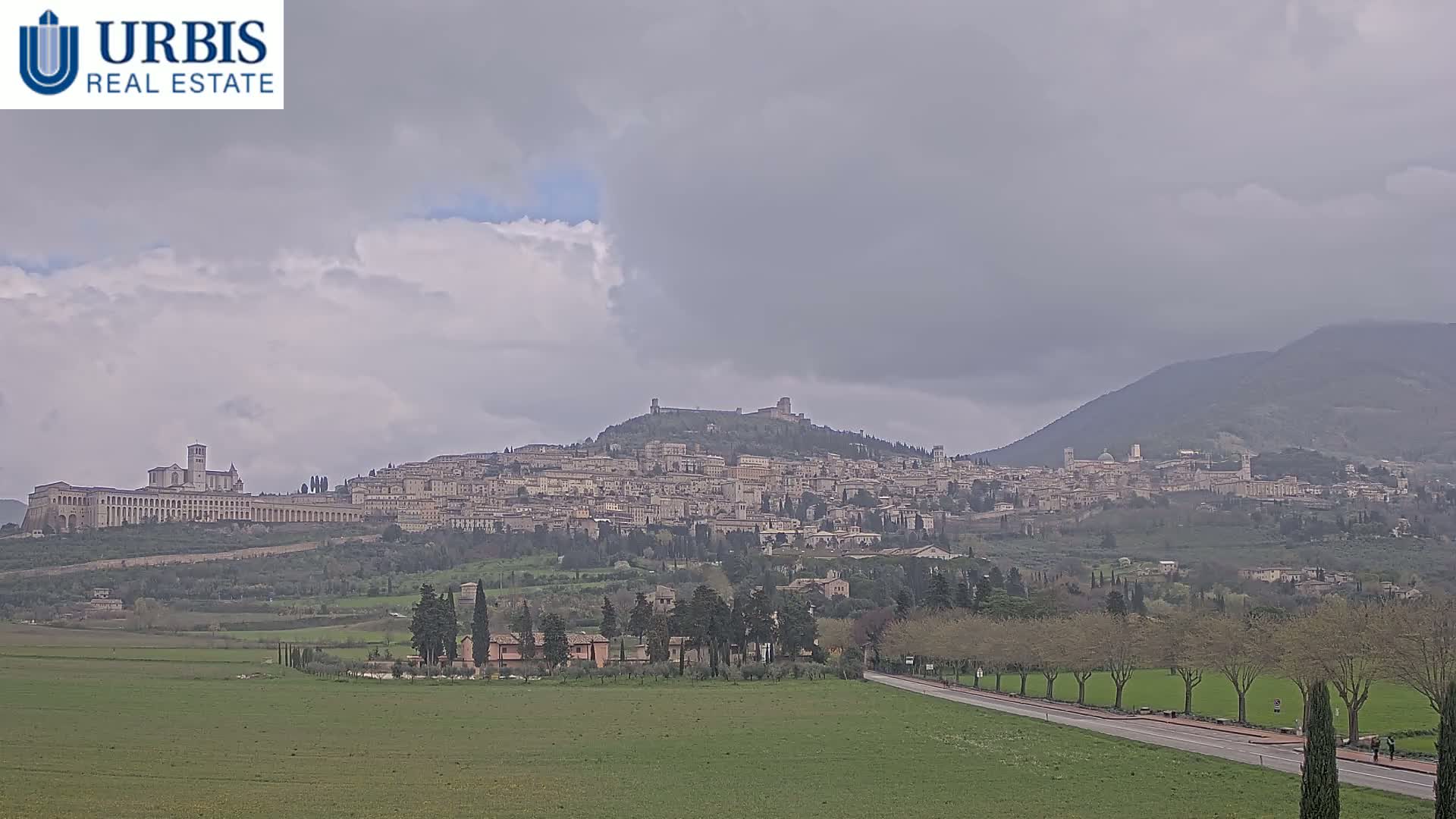 A hilltop town, nestled among rolling green hills under a cloudy sky, is viewed from a distance across a flat field and a road lined with trees.