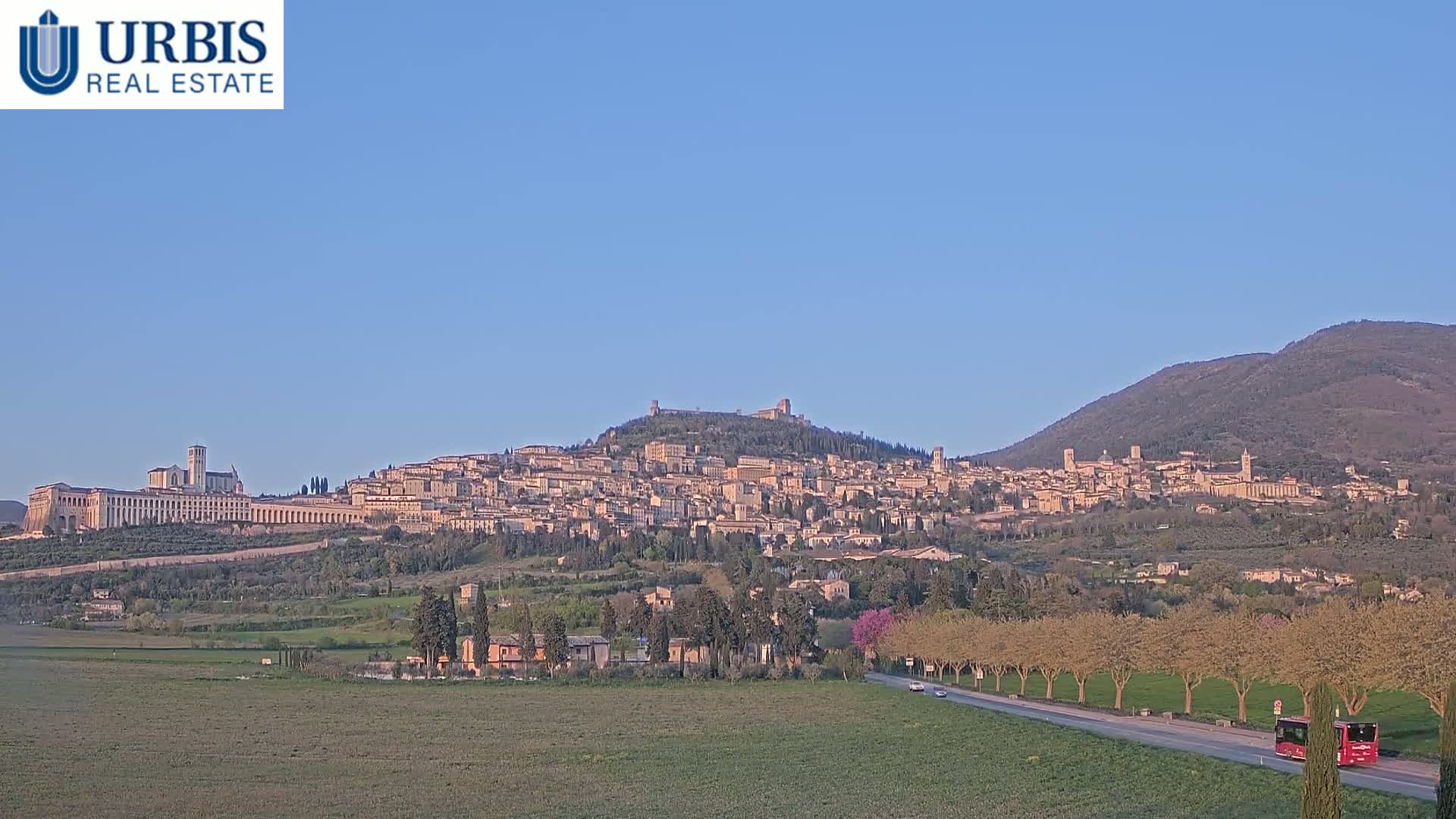 A hilltop town with a large basilica sits under a clear blue sky, with a row of trees and a red bus visible in the foreground.